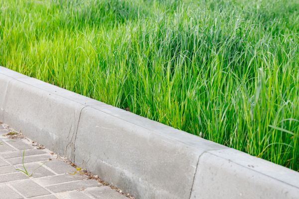 Curb Patching